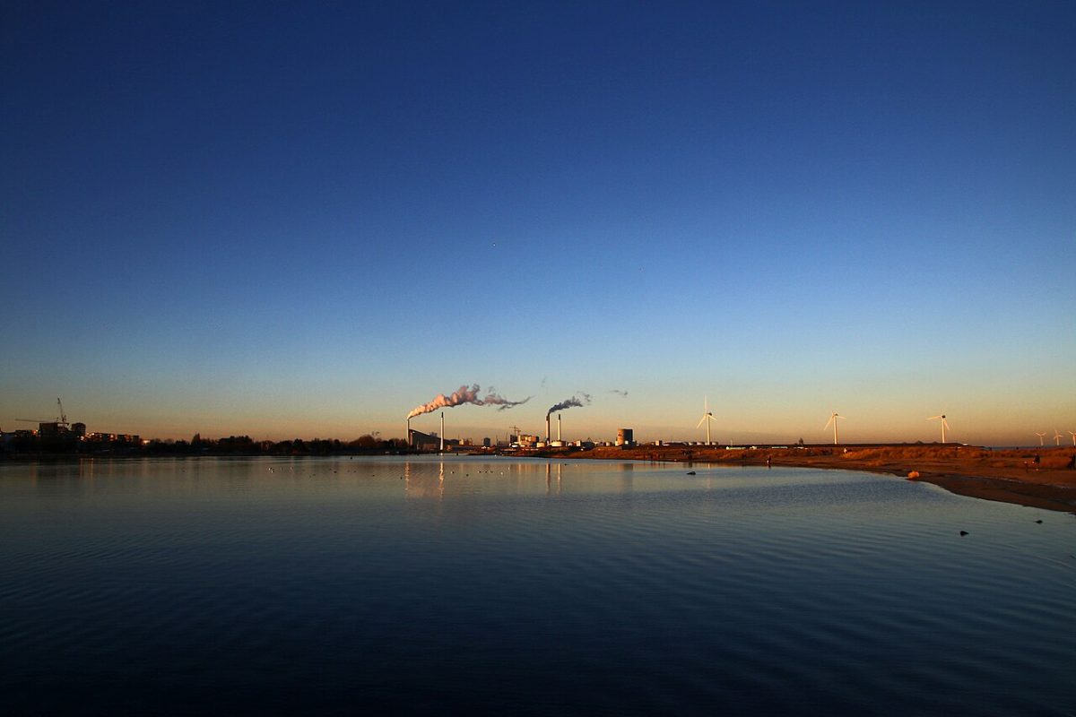 Amager Strandpark, Lagunen – billede 2